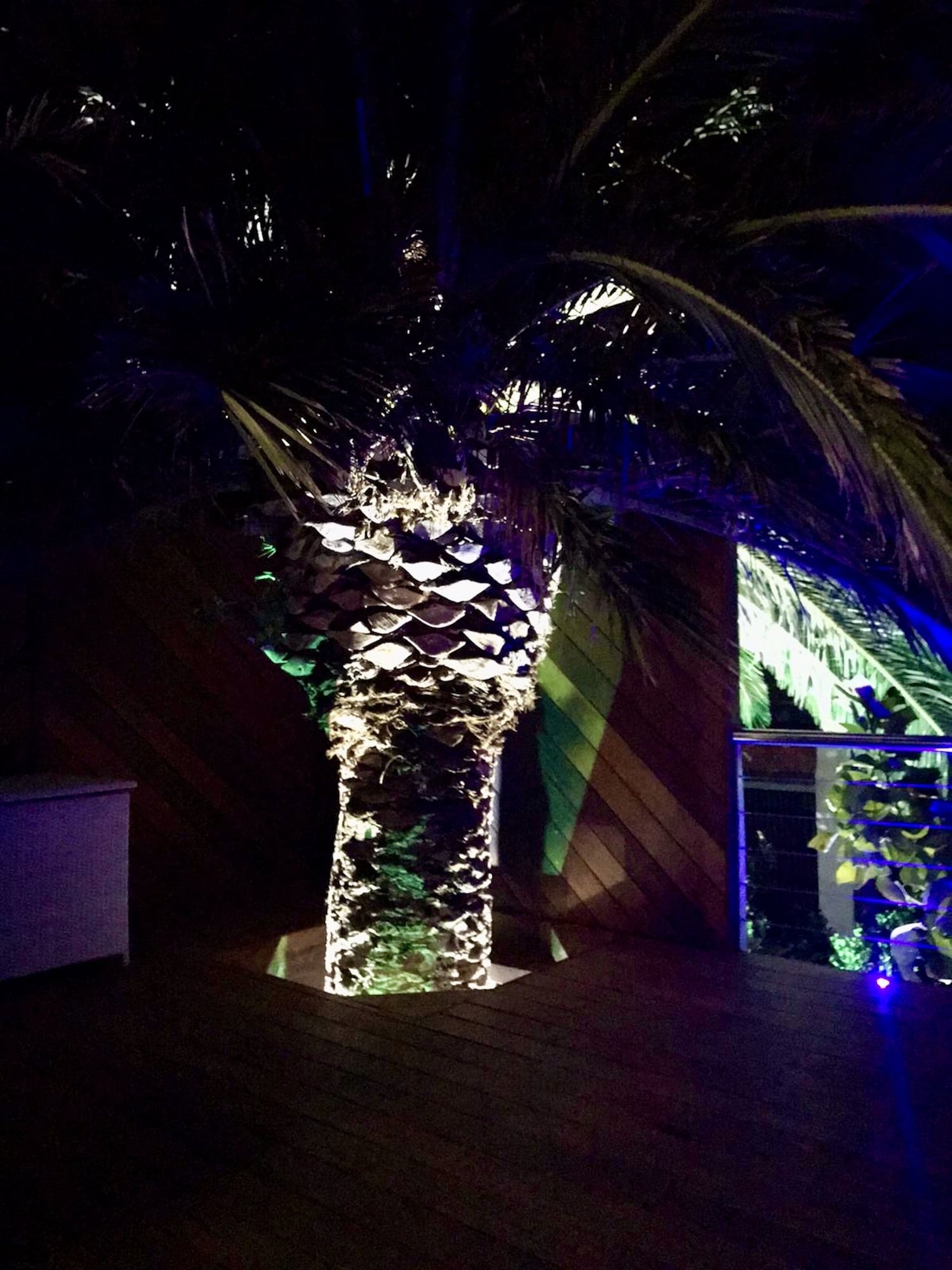 顶层套房 6号，一特大床，海景全景