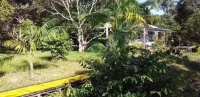 Mermaid Hotel Amazon Hotels in 