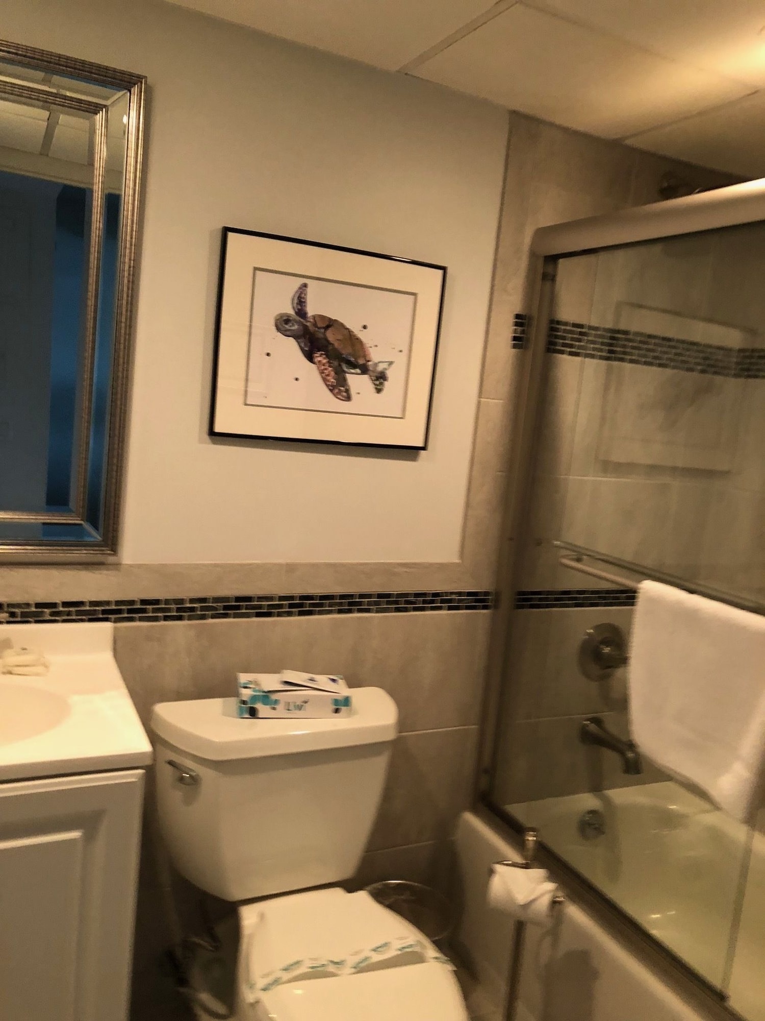 一卧室阁楼套房带楼梯