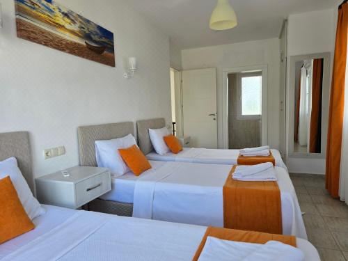 Dalyan Villa Amazon: Villa With Private Pool