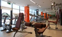 آر إم إتش مودينا ديه آرتس