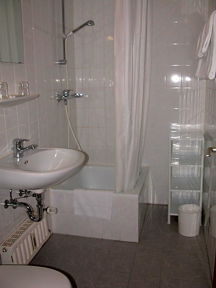 双人床或双床房（1张双人床或2张单人床）