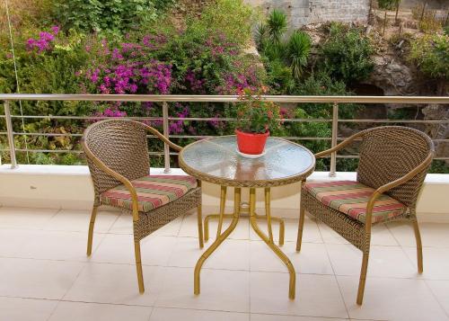 园景高级双人房