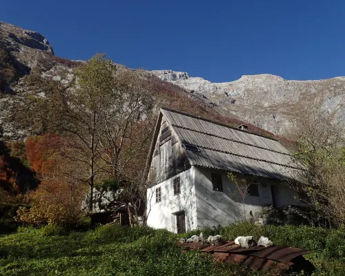 Elderflower Cottage in the Heart of Nature 보베츠 호텔