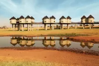 Salt Lick Safari Lodge Hotele w: 