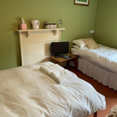 Standard Triple Room, Ensuite (Room 1) The Carew Arms Promo Code
