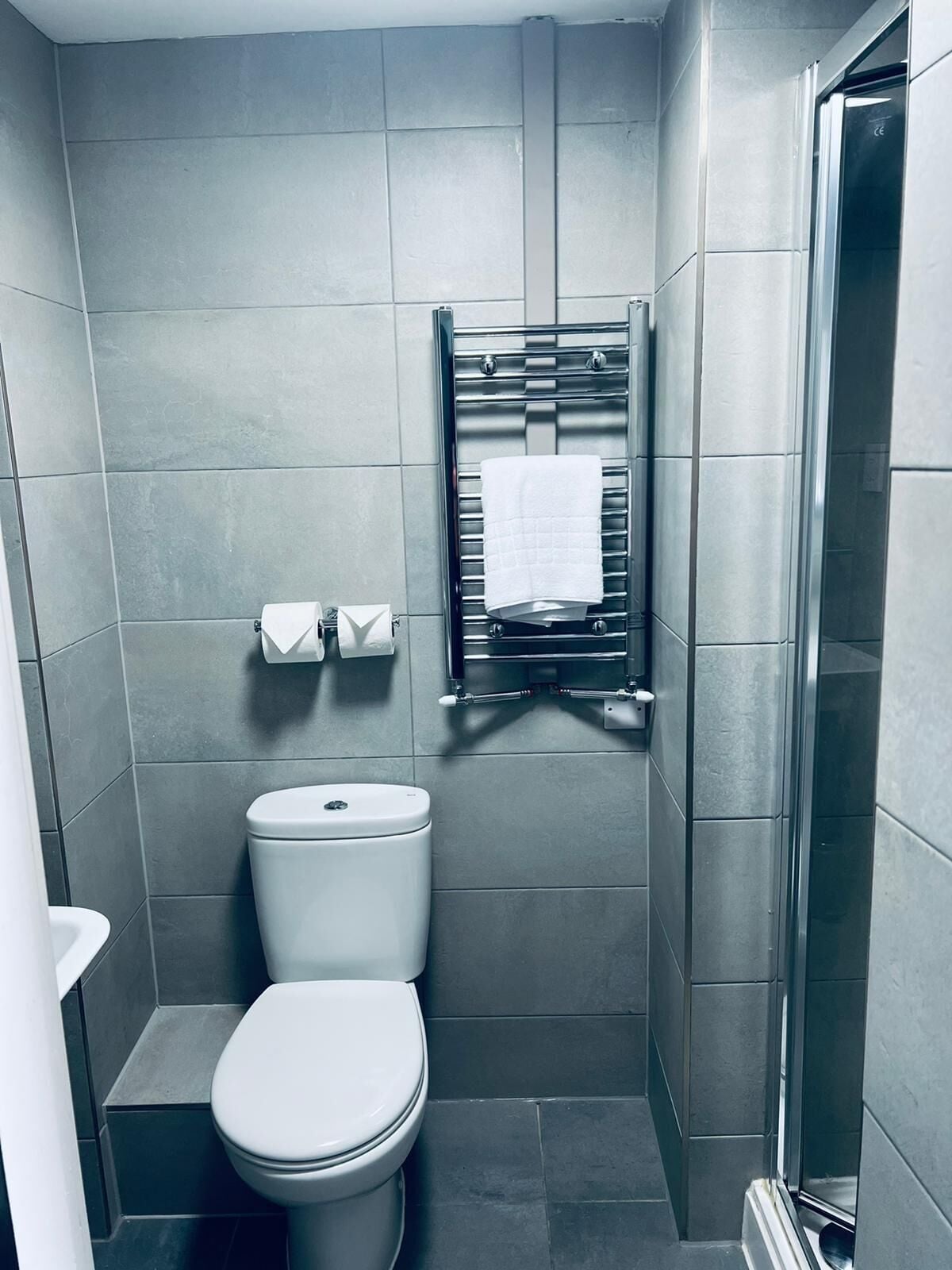 古典双床或双人房，1张特大床，海景，面向海