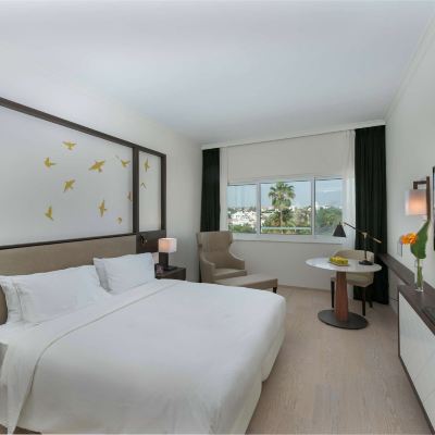 池景特大床房 尼克西亞希爾頓酒店優惠