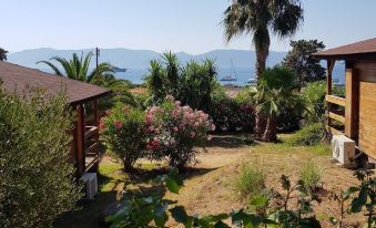 a small wooden house surrounded by a lush green garden , with a view of the ocean in the distance at Mare E Monti