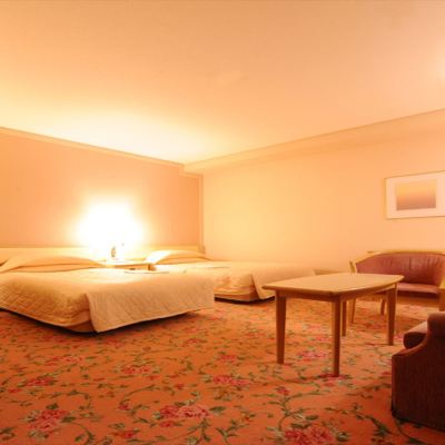 Main Building Deluxe Twin Room 36 to 40 Sq M