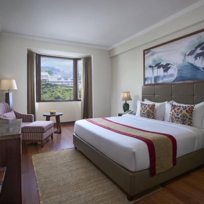 Valley View Room Larisa Resort Shimla Promo Code