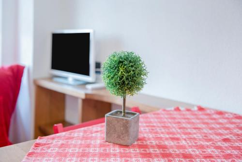 高级一卧室公寓