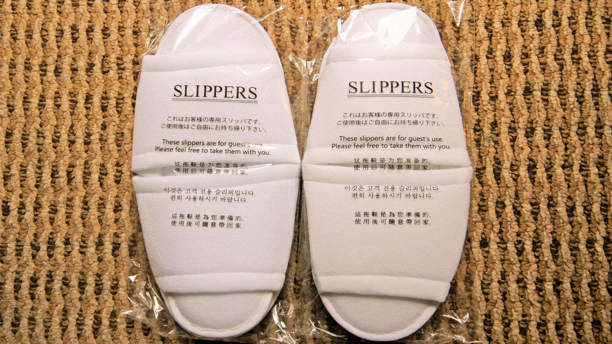 高层标准特大床房