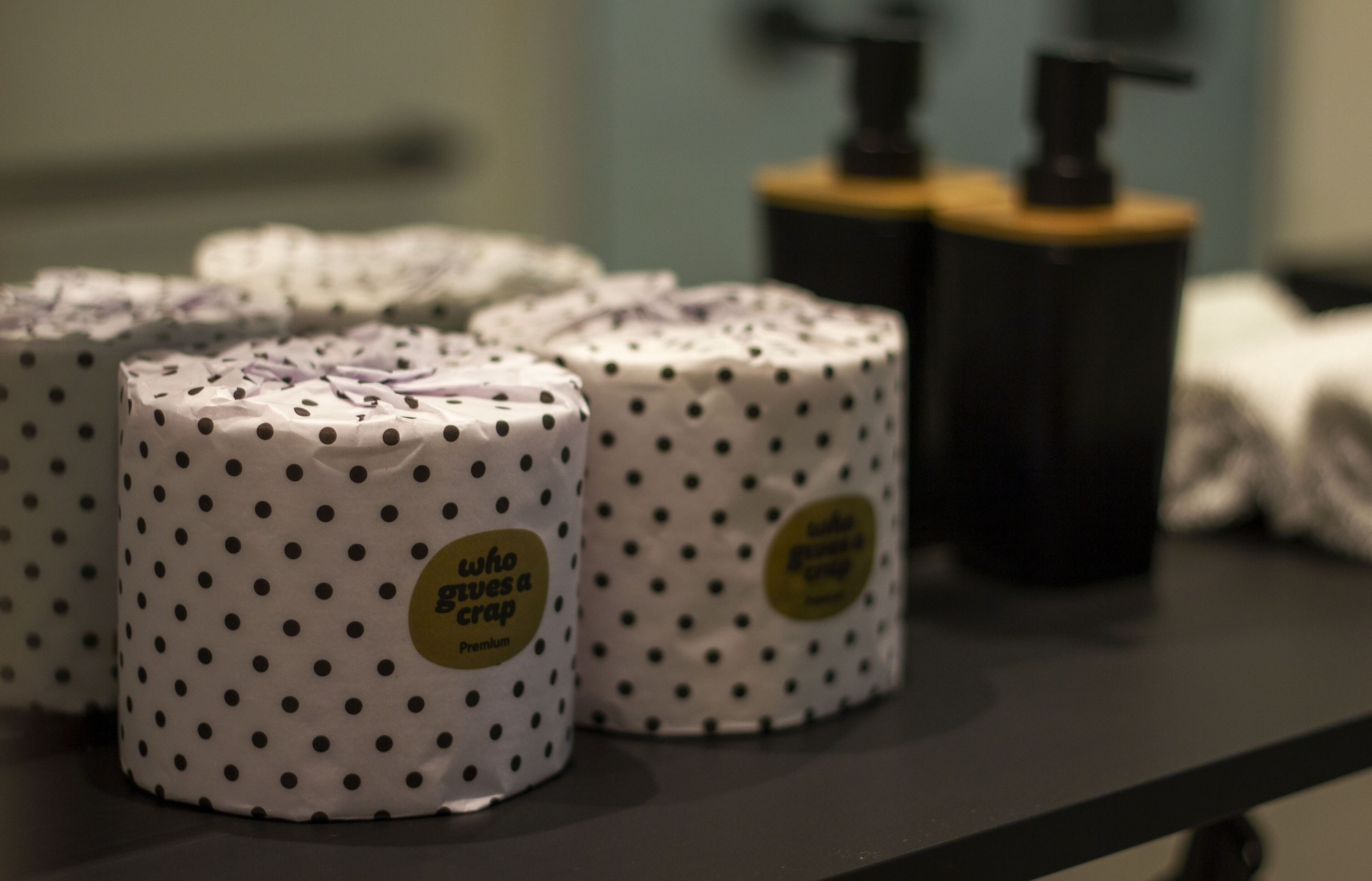 一卧室公寓 - 可携带宠物入住