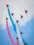 دولفين رومز