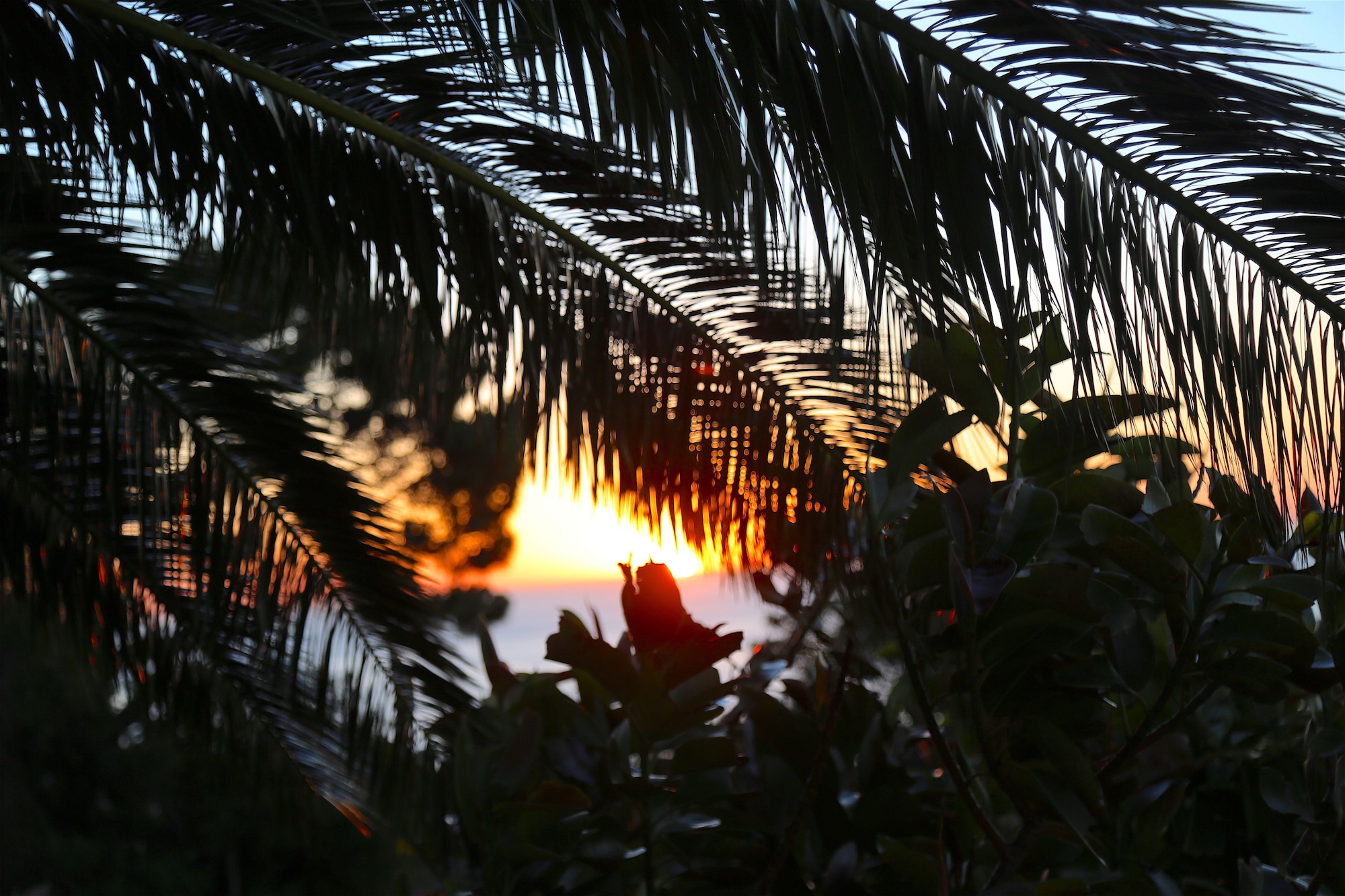 顶层套房 6号，一特大床，海景全景
