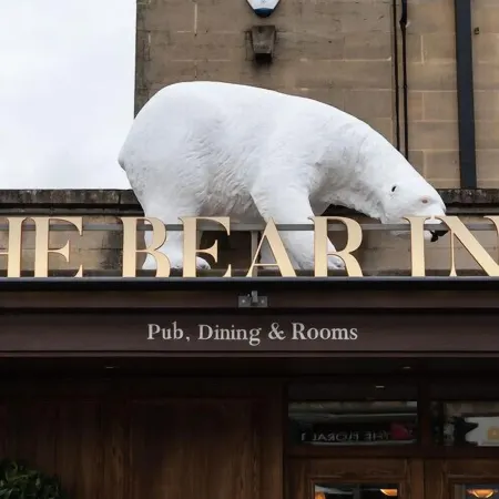 The Bear