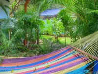 Hotel Al Sole Hotels in Leon