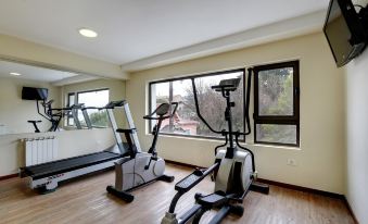 a well - equipped home gym with various exercise equipment , including a treadmill , stationary bike , and weightlifting machine at Cambria
