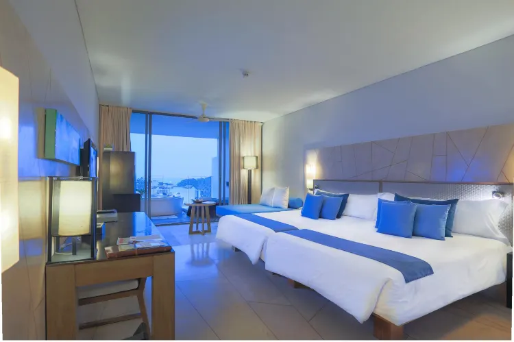 Premium Deluxe Room with Plunge Bath