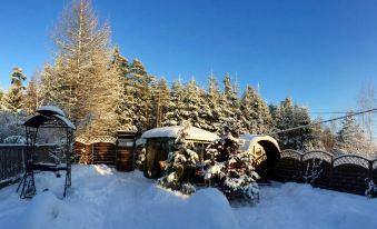a snowy landscape with a small wooden cabin surrounded by pine trees and snow - covered ground at Viking