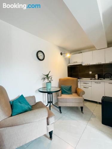 带园景一室公寓