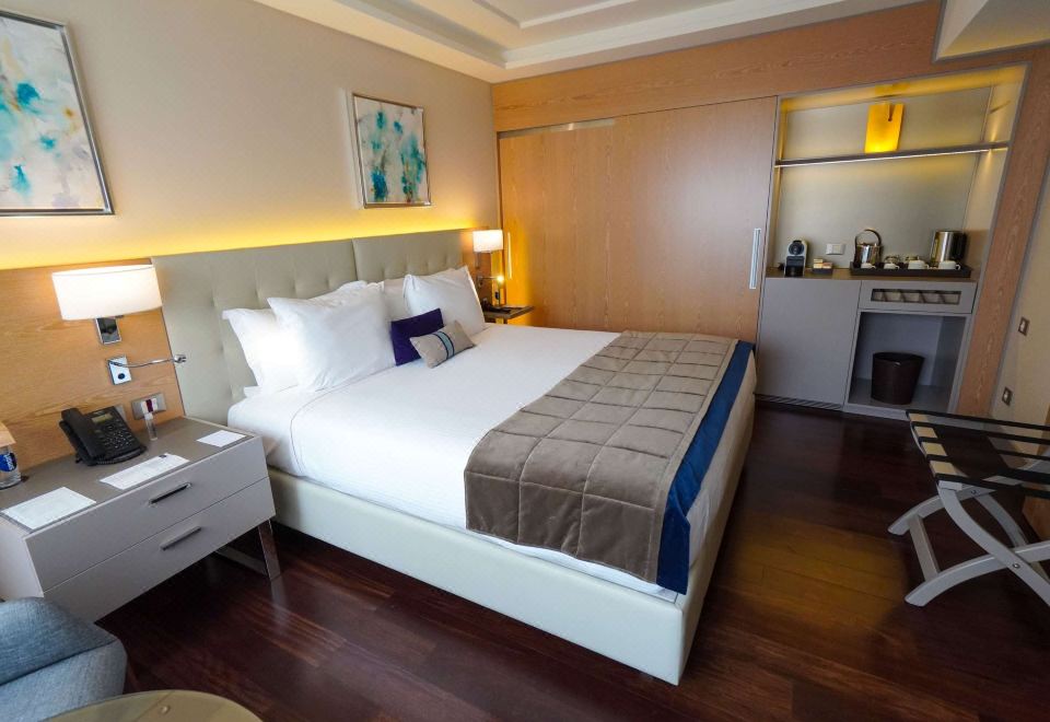 Superior King Room Non smoking