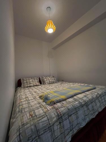 一卧室公寓 - 带露台