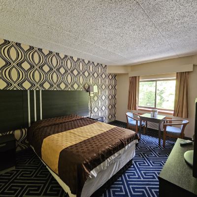 Queen Room - Smoking La Mirage Promo Code