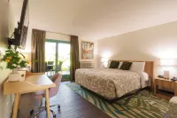 Lemon Tree Inn