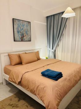 Dsv Property