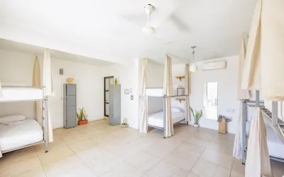SurfNest Hostel Các khách sạn ở 