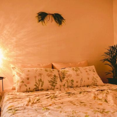 독채 Hamdeok 535 Unshared House Pension 쿠폰