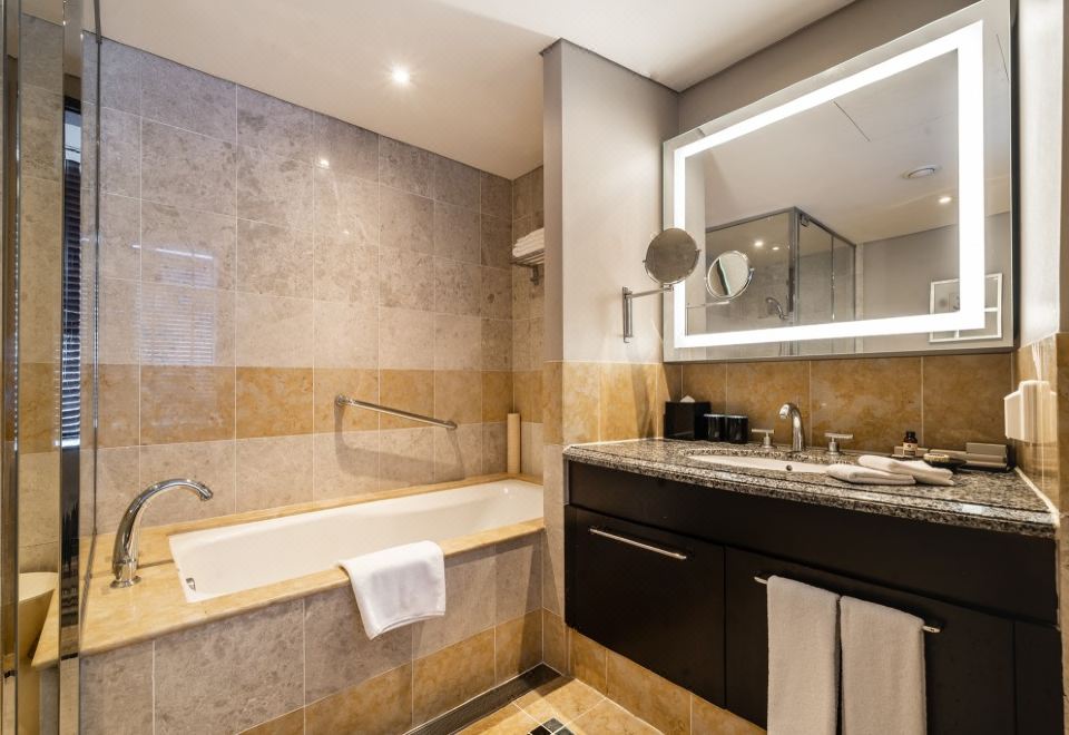 一卧室高级公寓