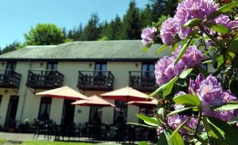 Hotel Gai-Sejour - Housity
