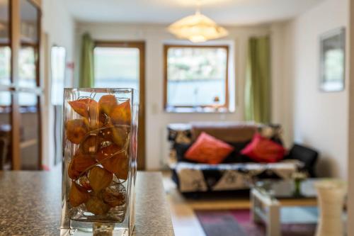 高级一卧室公寓