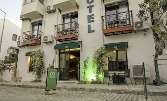 The Green Goose Hotel - Housity