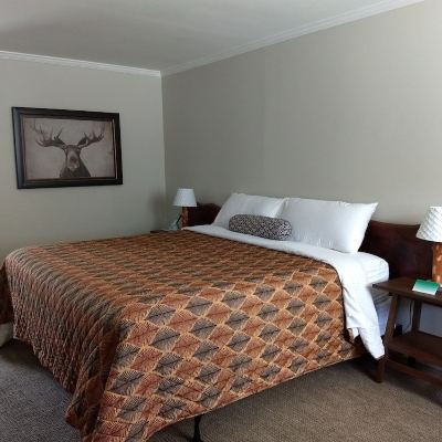 Standard Room, 1 King Bed, Mountain View, Pet Friendly