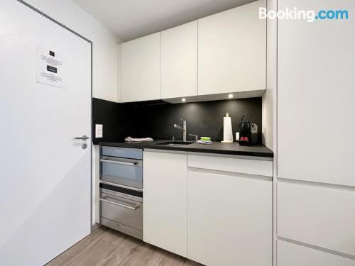 带园景一室公寓