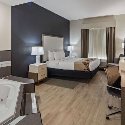 Suite-1 King Bed, Non-Smoking, Hot Tub, High Speed Internet Access, Microwave and Refrigerator, Coffee Maker, Hairdryer Best Western Heritage Inn and Suites Promo Code