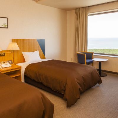 スタンダードオーシャンビューツインルーム 寺泊岬温泉　ホテル飛鳥　寺泊漁港直送の海の幸を味わう クーポン