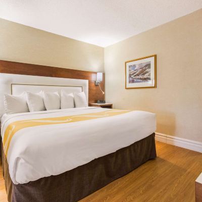 Junior King Suite Quality Inn & Suites & Conference Centre - Gatineau Promo Code