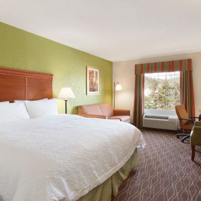 特大床房（禁煙） 格林菲爾德希爾頓歡朋旅館&套房酒店優惠