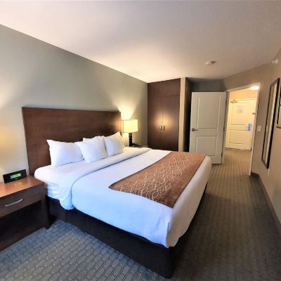 Executive Cabin AmeriVu Inn and Suites - Chisago City Promo Code
