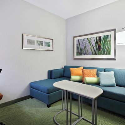 開間， 1 張特大床和 1 張梳化床 （Mobility Accessible， Tub） 萬豪彭薩科拉萬豪春丘酒店優惠