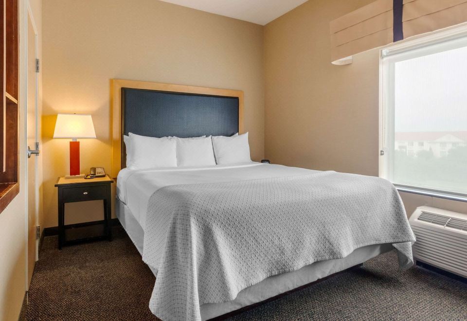 特大床套房 - 带梳化床 - 禁烟