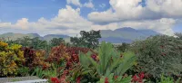 Jardin entre Montañas