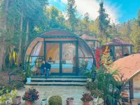 Plum Hillside Lodge