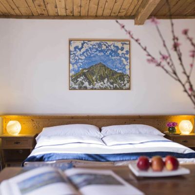 Junior Suite Hotel Bernina 1865 Promo Code