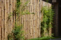 Lome Bamboo Lodge Hotele w: 